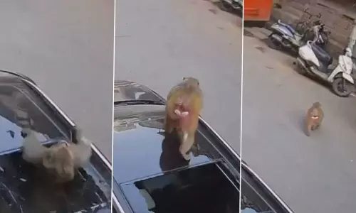 Video: வாரணாசியில் கார் மீது விழுந்த குரங்கு - உடைந்து நொறுங்கிய சன்ரூப் கண்ணாடி