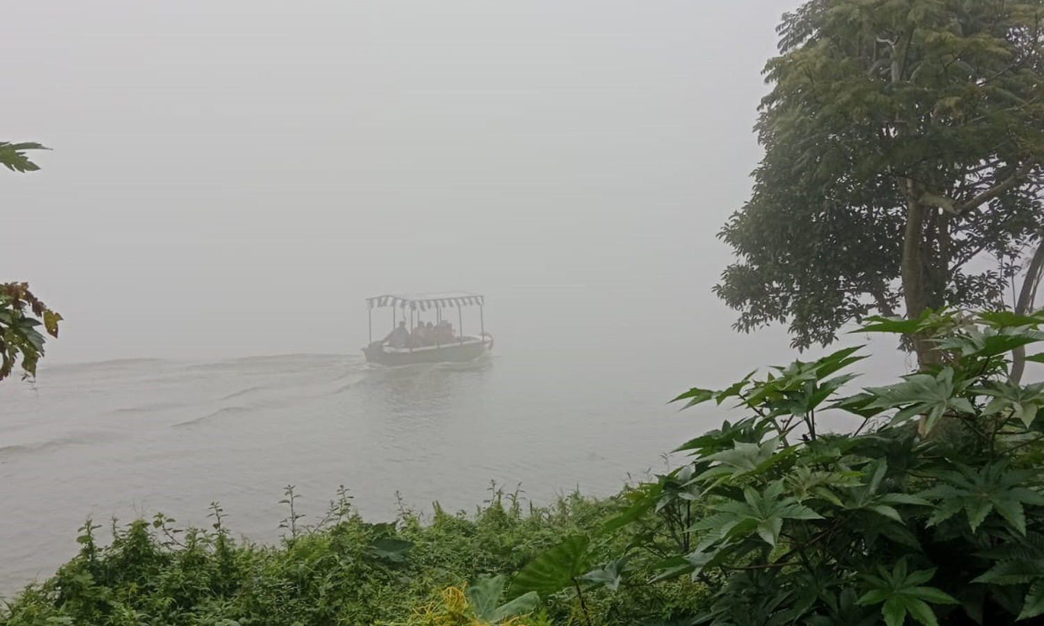 ஏற்காட்டில் இன்று காலை சாரல் மழையுடன் கடும் பனிப்பொழிவு- வாகன ஓட்டிகள் அவதி ஏற்காட்டில் இன்று காலை சாரல் மழையுடன் கடும் பனிப்பொழிவு- வாகன ஓட்டிகள் அவதி