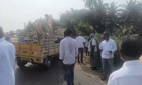 கால்நடைகளுடன் முற்றுகை போராட்டம்- காங்கயத்தில் விவசாயிகளை தடுத்து நிறுத்திய போலீசார்