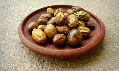 வீட்டில் இருக்க வேண்டிய காய்