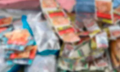 குட்கா பதுக்கி விற்ற பெண் உள்பட 2 பேர் கைது