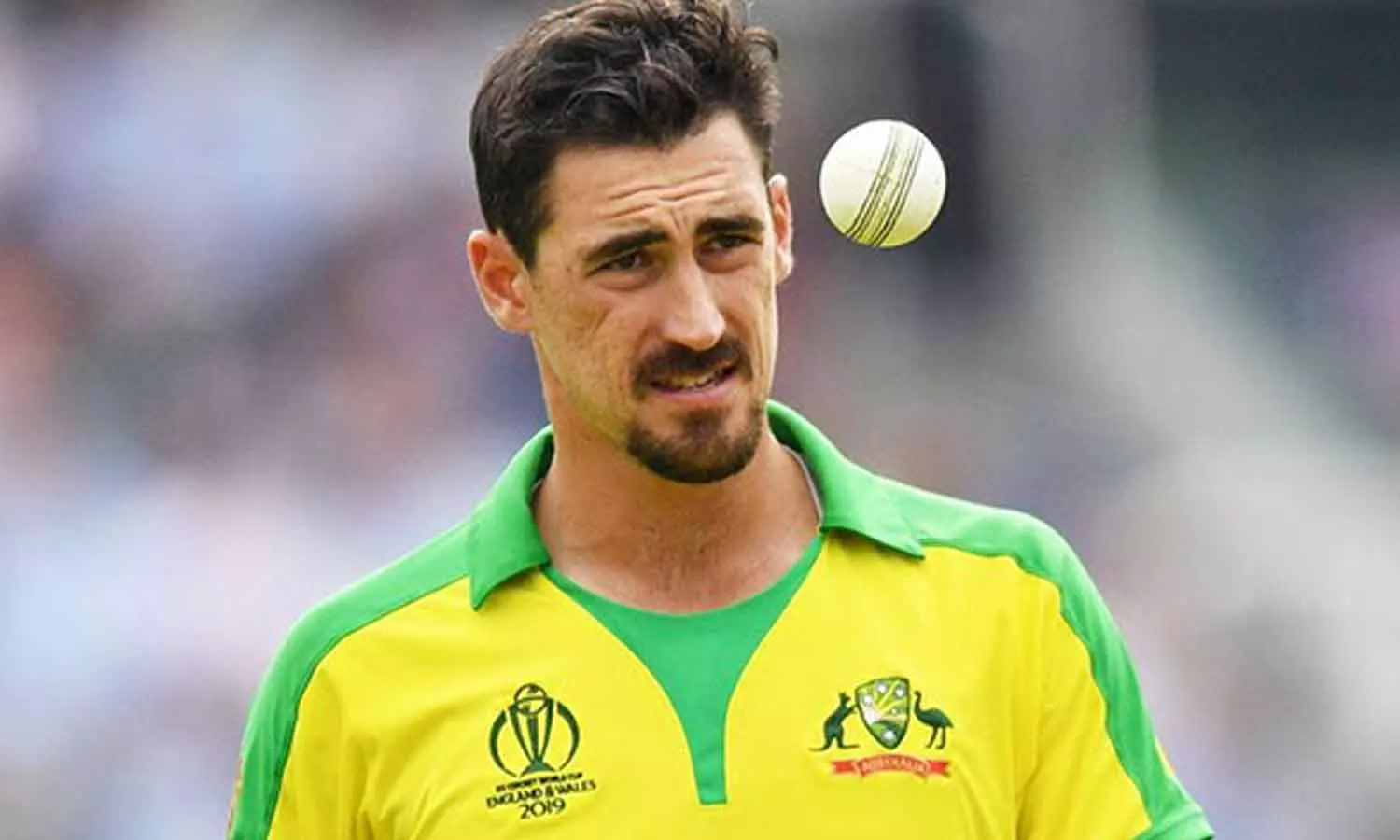 மிட்செல் ஸ்டார்கை ரூ.11.75 கோடிக்கு ஏலம் எடுத்தது... ... தமிழக வீரர் நடராஜனுக்கு ரூ. 10 கோடி.. டெல்லி அணியில் இணைகிறார் - லைவ் அப்டேட்ஸ்..