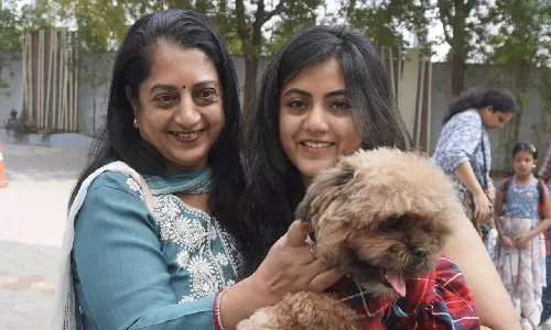 செல்லப்பிராணிகள் கண்காட்சி: ஒய்யாரமாக நடைபோட்டு அசத்திய 500 நாய், 100 பூனைகள்