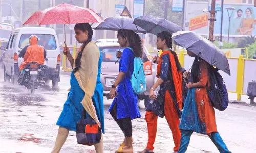 நெல்லை, தென்காசி, தூத்துக்குடி மாவட்டங்களில் விடிய விடிய பெய்த சாரல் மழை