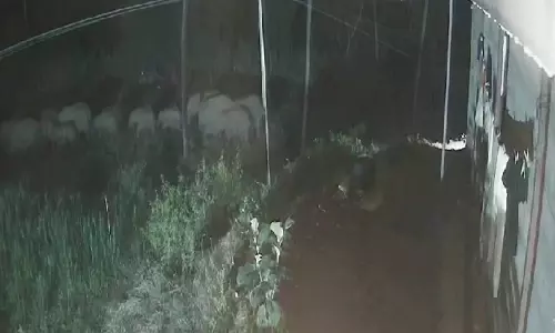 ஓசூர் சானமாவு வனப்பகுதியில் 40 காட்டு யானைகள் தஞ்சம்- வனத்துறையினர் எச்சரிக்கை