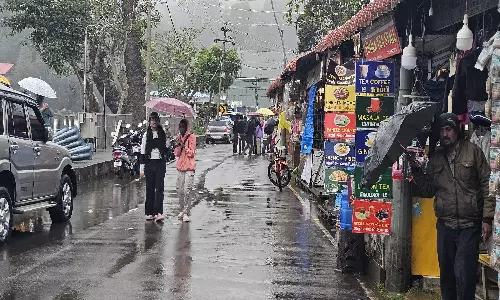 இடைவிடாத மழை: கொடைக்கானலில் மரங்கள், மின்கம்பங்கள் விழுந்து சேதம்