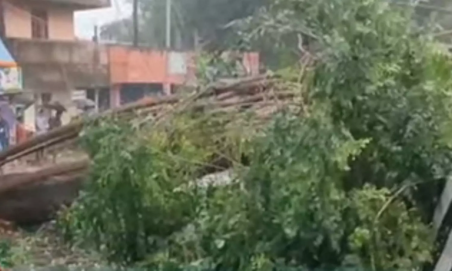 திருத்துறைப்பூண்டி அருகே கனமழையால் பழமையான மரம்... ... தாமதமாகும் புயல் - மணிக்கு 3 கி.மீ. வேகத்தில் நகர்கிறது.. லைவ் அப்டேட்ஸ் திருத்துறைப்பூண்டி அருகே கனமழையால் பழமையான மரம்... ... தாமதமாகும் புயல் - மணிக்கு 3 கி.மீ. வேகத்தில் நகர்கிறது.. லைவ் அப்டேட்ஸ்