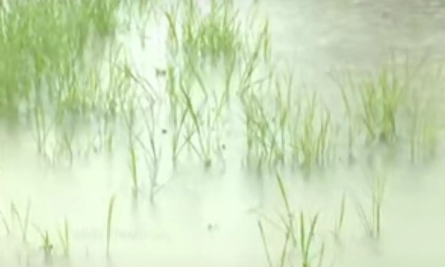 மயிலாடுதுறை மாவட்டம் வடகரை பகுதியில்... ... தாமதமாகும் புயல் - மணிக்கு 3 கி.மீ. வேகத்தில் நகர்கிறது.. லைவ் அப்டேட்ஸ்