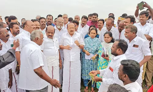 மழையால் 33 சதவீத நெற்பயிர்கள் பாதிப்பு இருந்தால் உரிய இழப்பீடு- அமைச்சர்