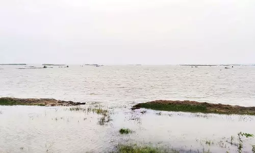 மழை நீரில் மூழ்கிய உப்பளங்கள் - நிவாரணம் வழங்க கோரிக்கை