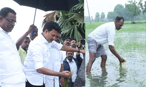 மழைநீரில் நெற்பயிர்கள்- அமைச்சர் அன்பில் மகேஷ் ஆய்வு