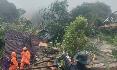 இந்தோனேசியாவில் சோகம்: நிலச்சரிவில் சிக்கி 27 பேர் பலி