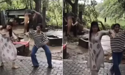 பெண்களின் நடன அசைவுகளுக்கு ஏற்றவாறு ஆடும் யானை... விவாதத்தை ஏற்படுத்திய வீடியோ