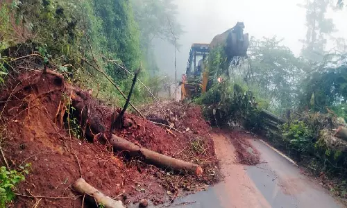 திண்டுக்கல்லில் தொடர் மழை: கொடைக்கானலில் மரங்கள் விழுந்து போக்குவரத்து பாதிப்பு