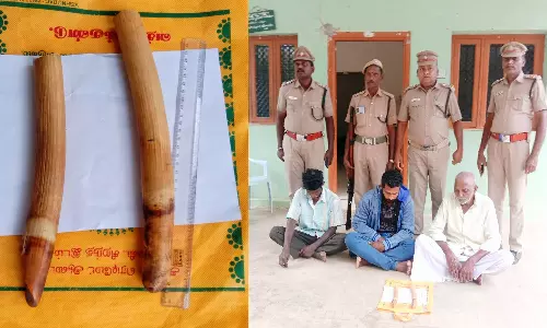 பெரும்பாறை அருகே யானை தந்தம் விற்க முயன்ற 3 பேர் கைது