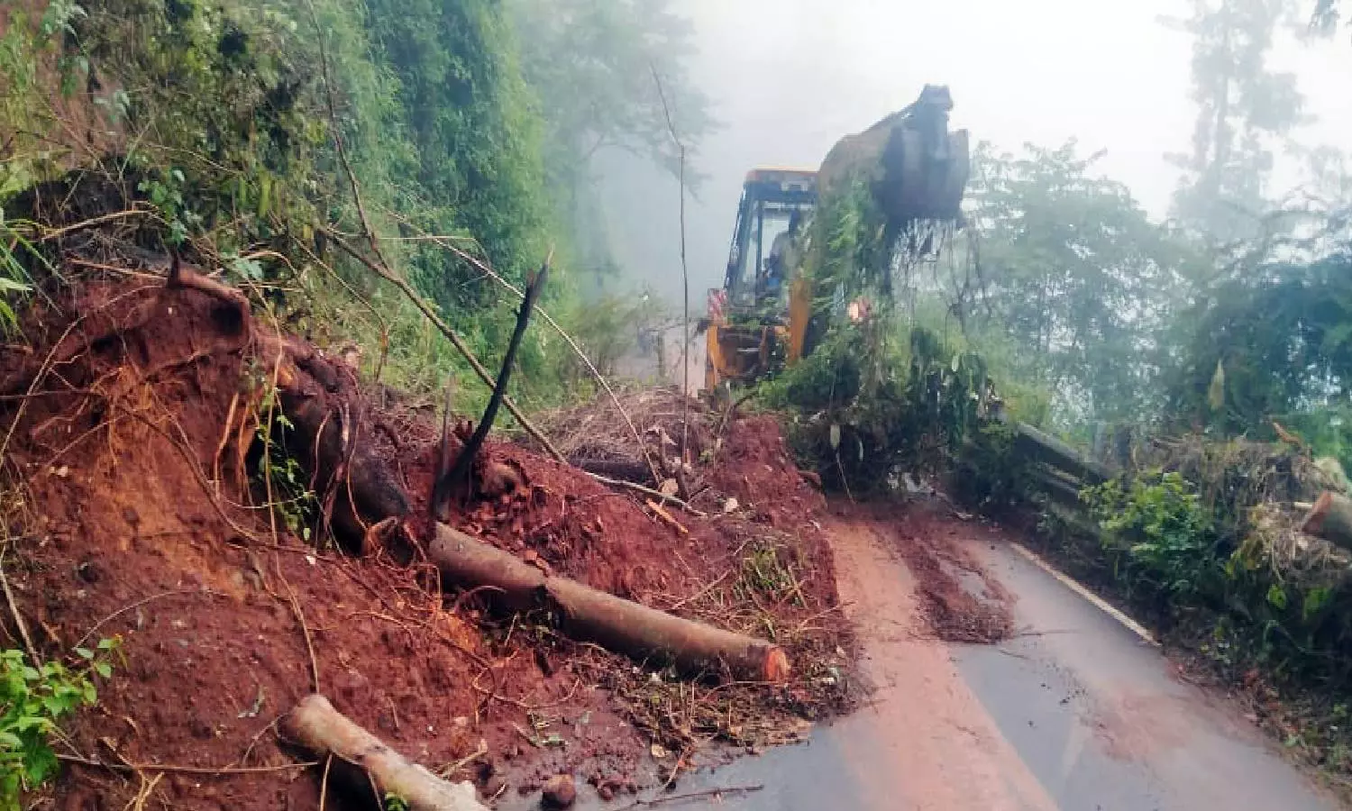 திண்டுக்கல்லில் தொடர் மழை: கொடைக்கானலில் மரங்கள் விழுந்து போக்குவரத்து பாதிப்பு