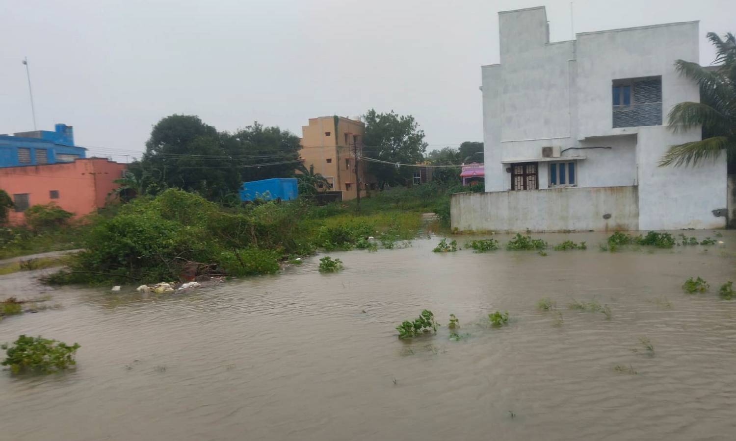 கடலூரில் 5 ஆயிரம் வீடுகளுக்குள் மழைநீர்புகுந்து பொதுமக்கள் அவதி