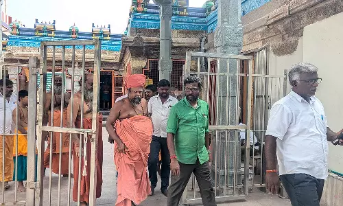 பழனி கோவிலில் நவபாஷாண சிலையை ஆய்வு செய்த முன்னாள் நீதிபதி தலைமையிலான குழுவினர்