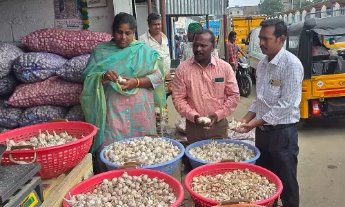 திருப்பூர் மார்க்கெட்டில் அதிரடி சோதனை- 330 கிலோ சீனா பூண்டுகள் பறிமுதல்