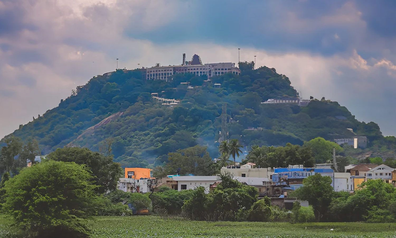 பழனி கோவிலில் நவபாஷாண சிலையை ஆய்வு செய்த முன்னாள் நீதிபதி தலைமையிலான குழுவினர்