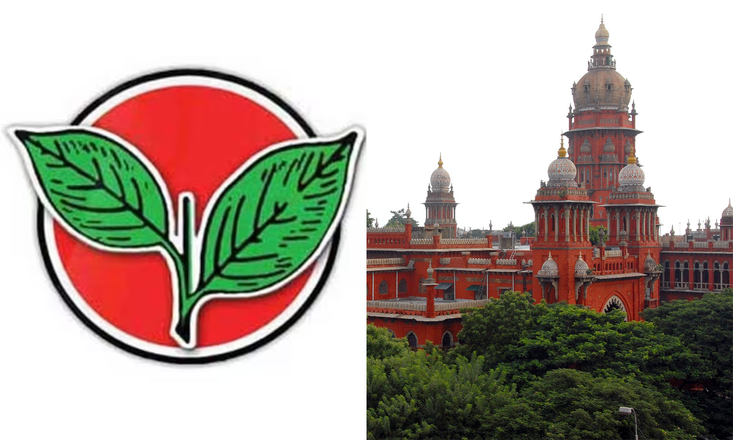 இரட்டை இலை வழக்கு: ஓ.பி.எஸ். கருத்துக்களை கேட்டு முடிவெடுக்க உயர்நீதிமன்றம் உத்தரவு