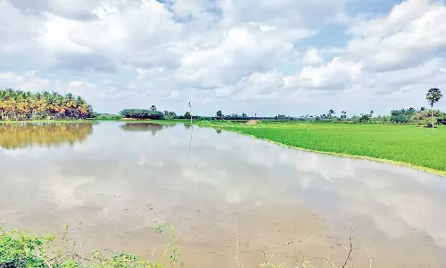 கொல்லிமலையில் கனமழை: வாத்தலை அய்யன் வாய்க்காலில் வெள்ளம்