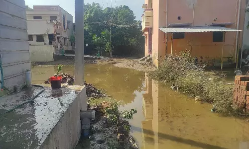 குடியிருப்புகளில் தேங்கிய வெள்ளம் வடிகிறது- இயல்பு நிலைக்கு திரும்பும் கடலூர்