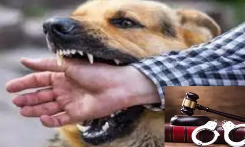 கடனை வசூலிக்கச் சென்ற ஊழியர் மீது நாயை ஏவி கடிக்கச் செய்த பெண்- 3 பிரிவுகளில் வழக்குப்பதிவு