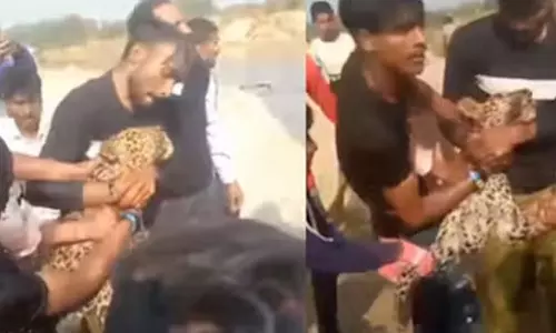 சிறுத்தையை பிடித்து கழுத்தை நெரித்த வாலிபர்கள்