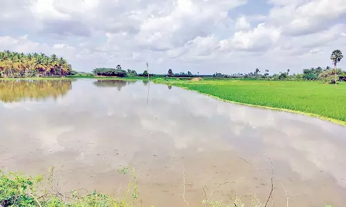 வாத்தலை அய்யன் வாய்க்காலில் வெள்ளம்- 2 கிராமங்கள் துண்டிப்பு