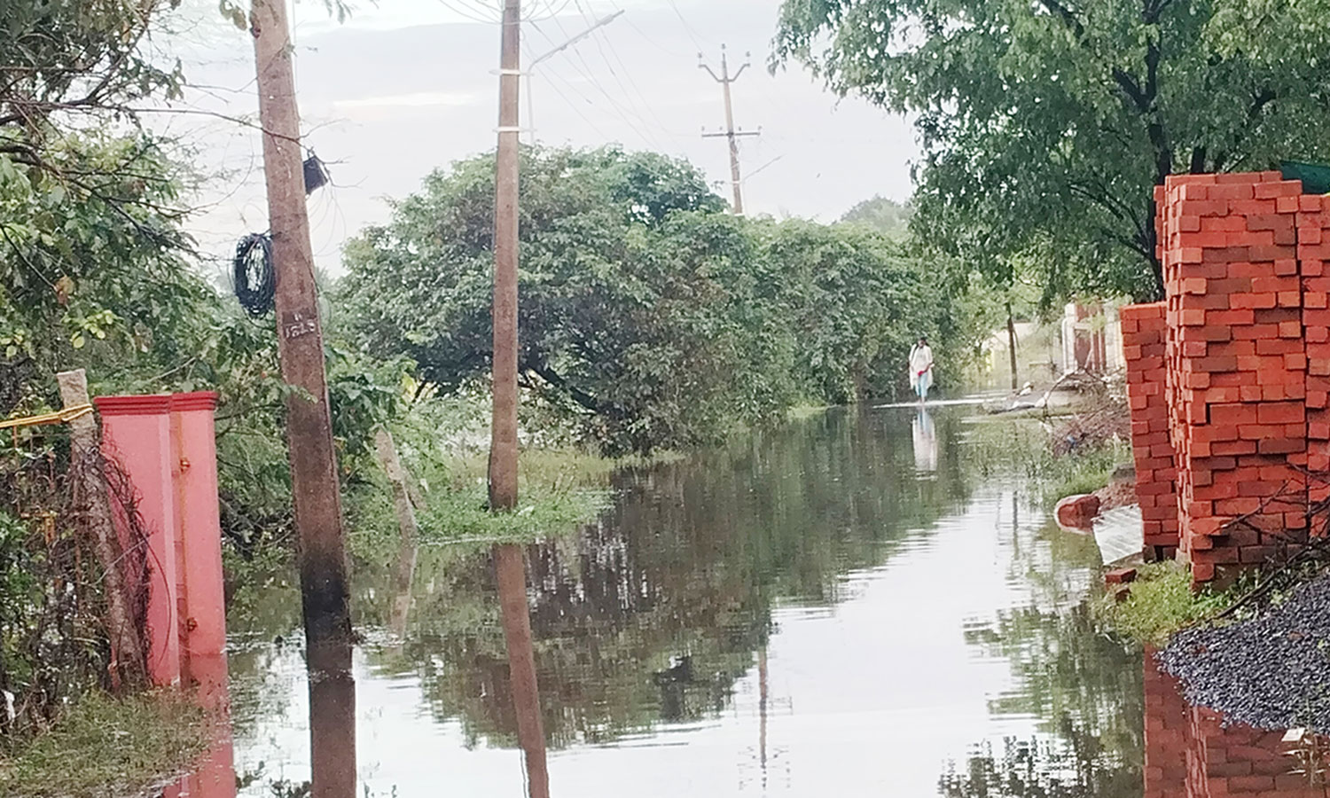 200 வீடுகளை ஒரு வாரமாக சூழ்ந்து நிற்கும் மழை நீர்