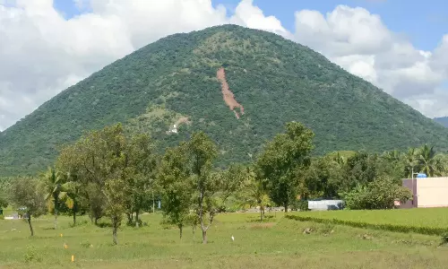 சிங்காரப்பேட்டையில் பெருமாள் கோவில் மலையில் மண் சரிவு