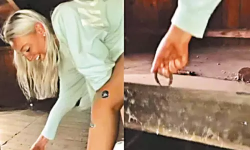 வீட்டிற்குள் இருந்த ரகசிய அறையை கண்டுபிடித்த பெண்- வீடியோ