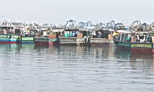 ராமேசுவரத்தில் மீனவர்கள் வேலைநிறுத்தம்- 500 படகுகள் துறைமுகத்தில் நிறுத்தி வைப்பு