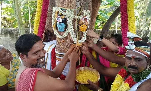 உலகம் நன்மை பெற வேண்டி அரசமரம், வேப்பமரத்திற்கு திருமணம்