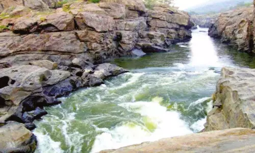 மேகதாது அணை திட்ட பணி தீவிரம்- சுற்றுச்சூழல் அமைச்சக அனுமதி பெற கர்நாடக அரசு நடவடிக்கை