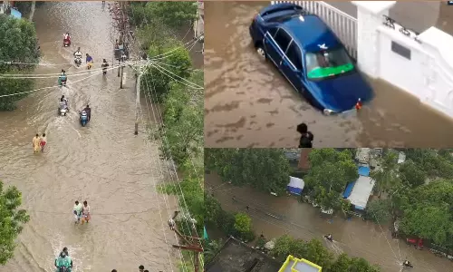 புதுச்சேரி பகுதிகளில் மத்திய குழு ஆய்வு