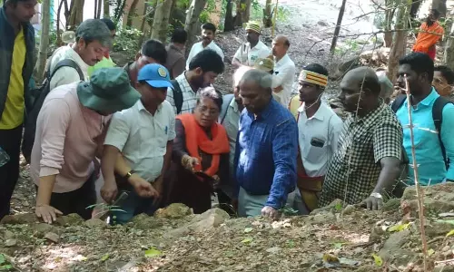 திருவண்ணாமலையில் குவியும் பக்தர்கள்- மகா தீப மலையில் வல்லுனர் குழு ஆய்வு