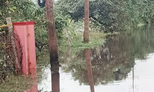 மீஞ்சூரில் வெள்ளம் வடியாததால் 250 குடும்பங்கள் தவிப்பு