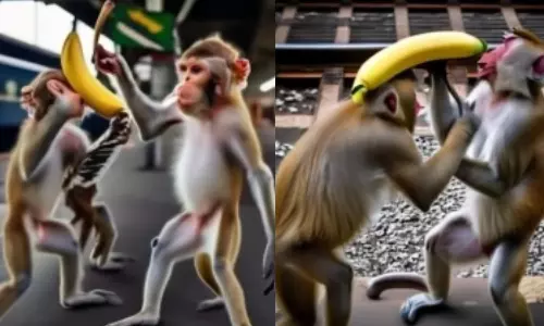 இதுகளும் சதி பண்ணுதே.. வாழைப்பழத்துக்கு சண்டை போட்டு ரெயில்களை நிறுத்திய குரங்குகள்