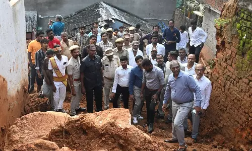 திருவண்ணாமலை மாவட்டத்தில் மத்திய குழுவினர் ஆய்வு