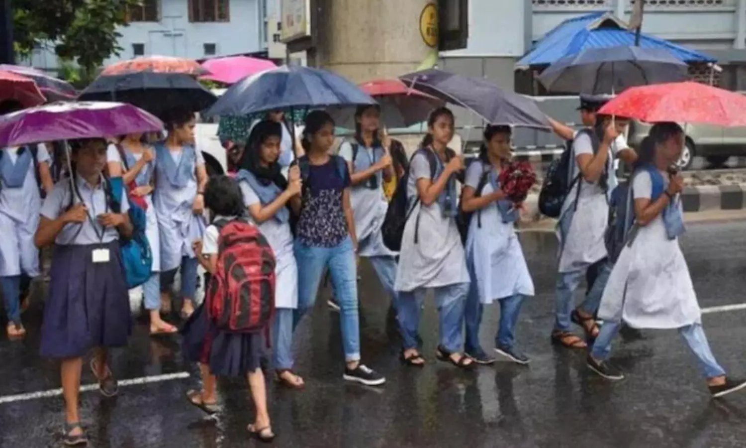 கனமழை எச்சரிக்கை எதிரொலி.. மயிலாடுதுறையில் பள்ளி, கல்லூரிகளுக்கு விடுமுறை