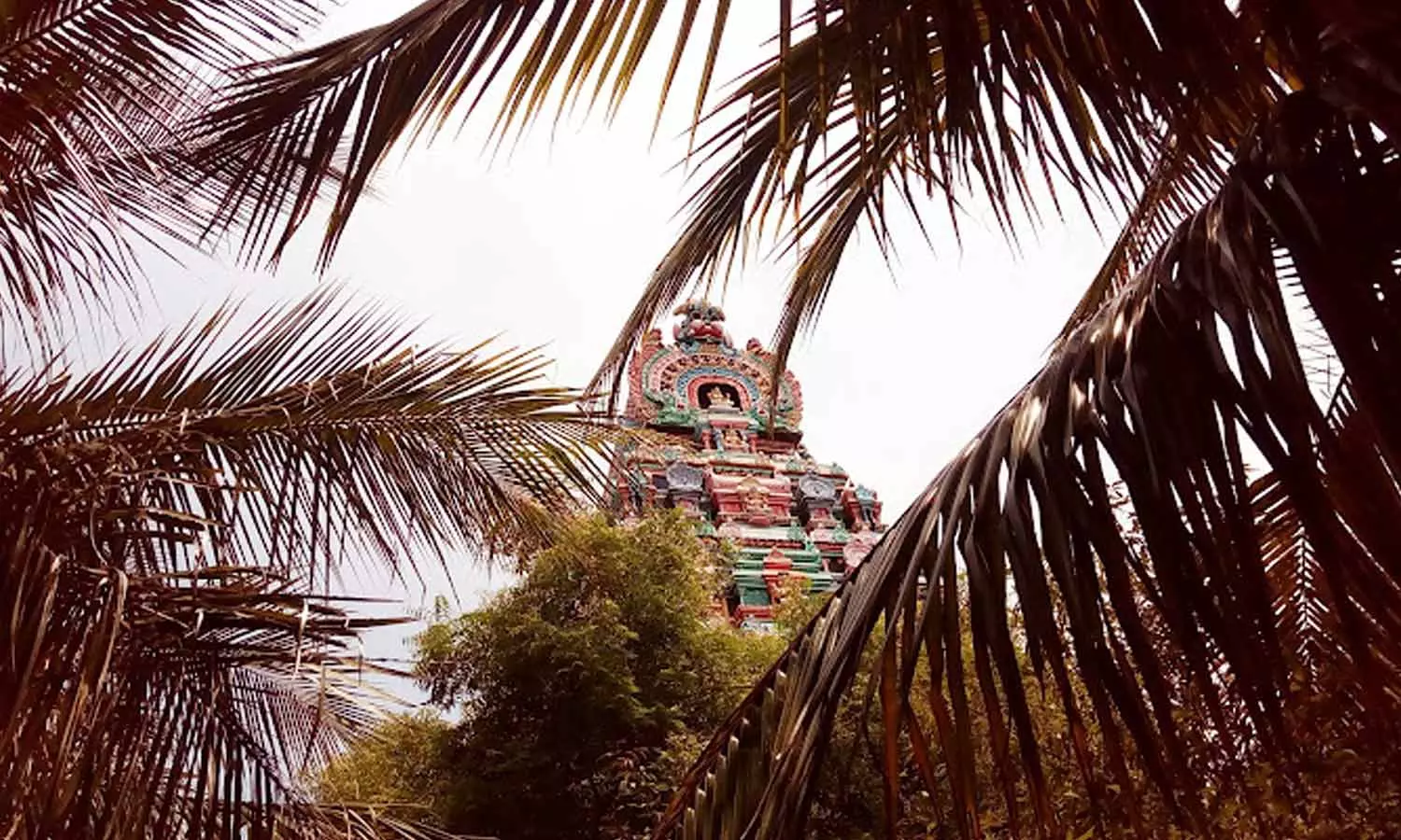 அகத்தியருக்கு ஈசன் காட்சி கொடுத்த திருத்தலம் அகத்தியருக்கு ஈசன் காட்சி கொடுத்த திருத்தலம்