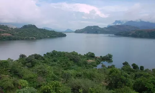 அமராவதி அணையில் இருந்து நீர்  திறப்பு