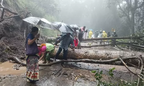 போடிமெட்டு, குமுளி மலைச்சாலையில் பாறைகள், மரம் விழுந்து போக்குவரத்து பாதிப்பு