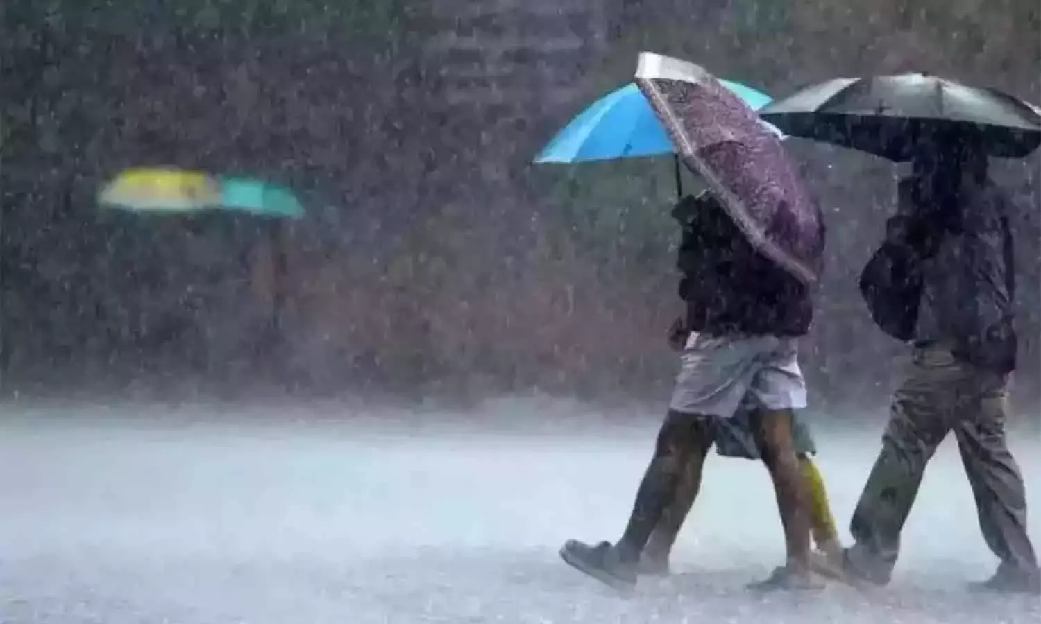 கனமழை எதிரொலி: எந்தெந்த மாவட்டங்களில் பள்ளி, கல்லூரிகளுக்கு இன்று விடுமுறை?