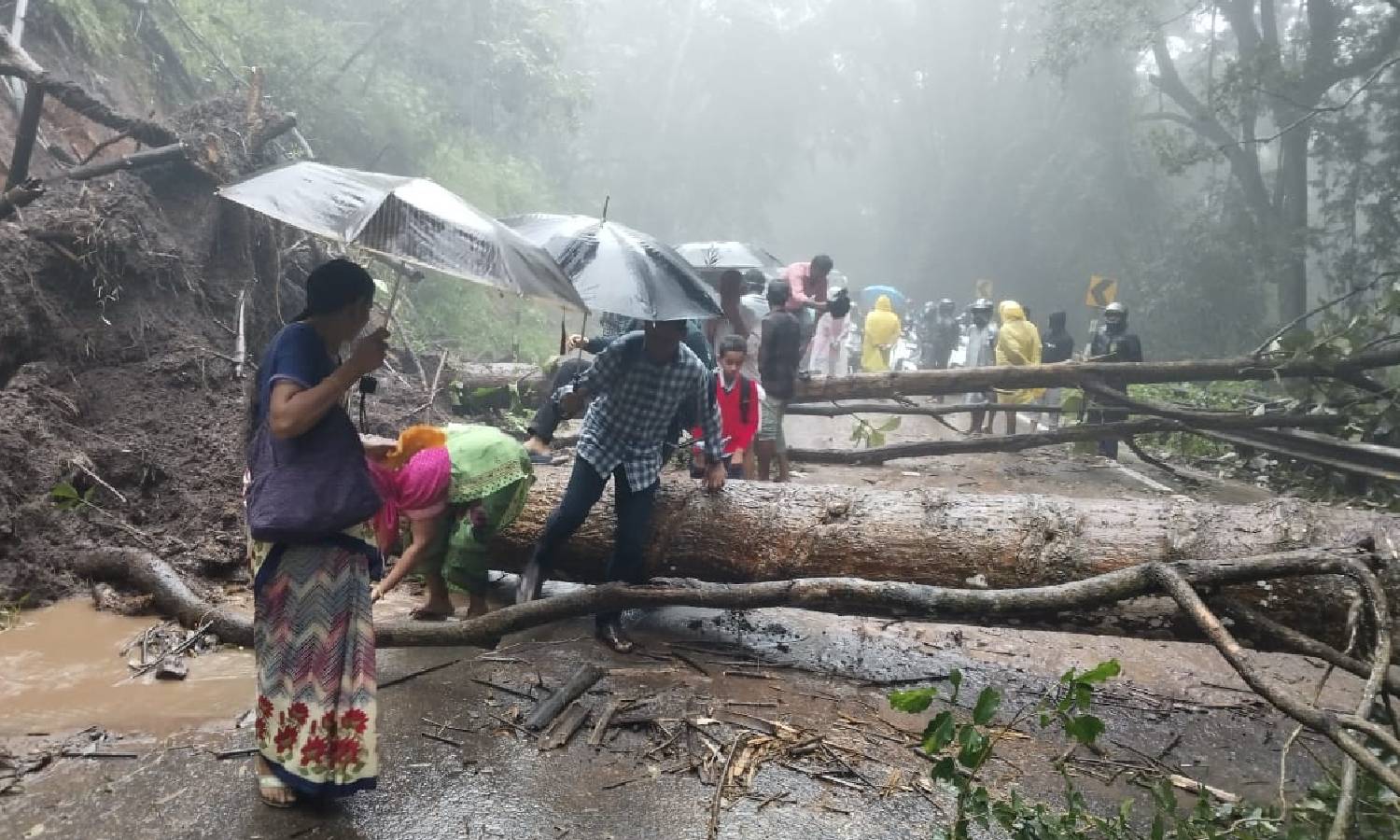 போடிமெட்டு, குமுளி மலைச்சாலையில் பாறைகள், மரம் விழுந்து போக்குவரத்து பாதிப்பு