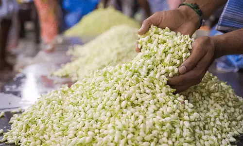 கிடுகிடுவென உயர்ந்த மல்லிகைப்பூ விலை- கிலோ ரூ.7500க்கு விற்பனை