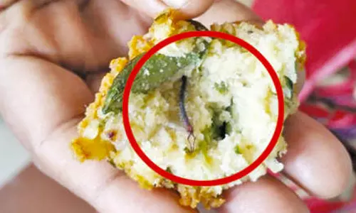 நிலக்கோட்டையில் பரபரப்பு: பருப்பு வடைக்குள் பூரான்