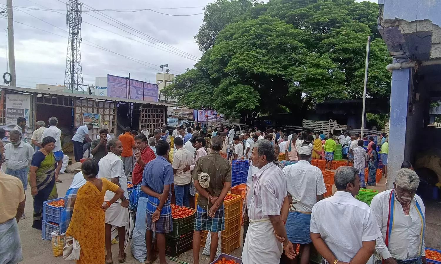 வரத்து அதிகரிப்பால் தக்காளி விலை வீழ்ச்சி: கிலோ ரூ.18-க்கு விற்பனை